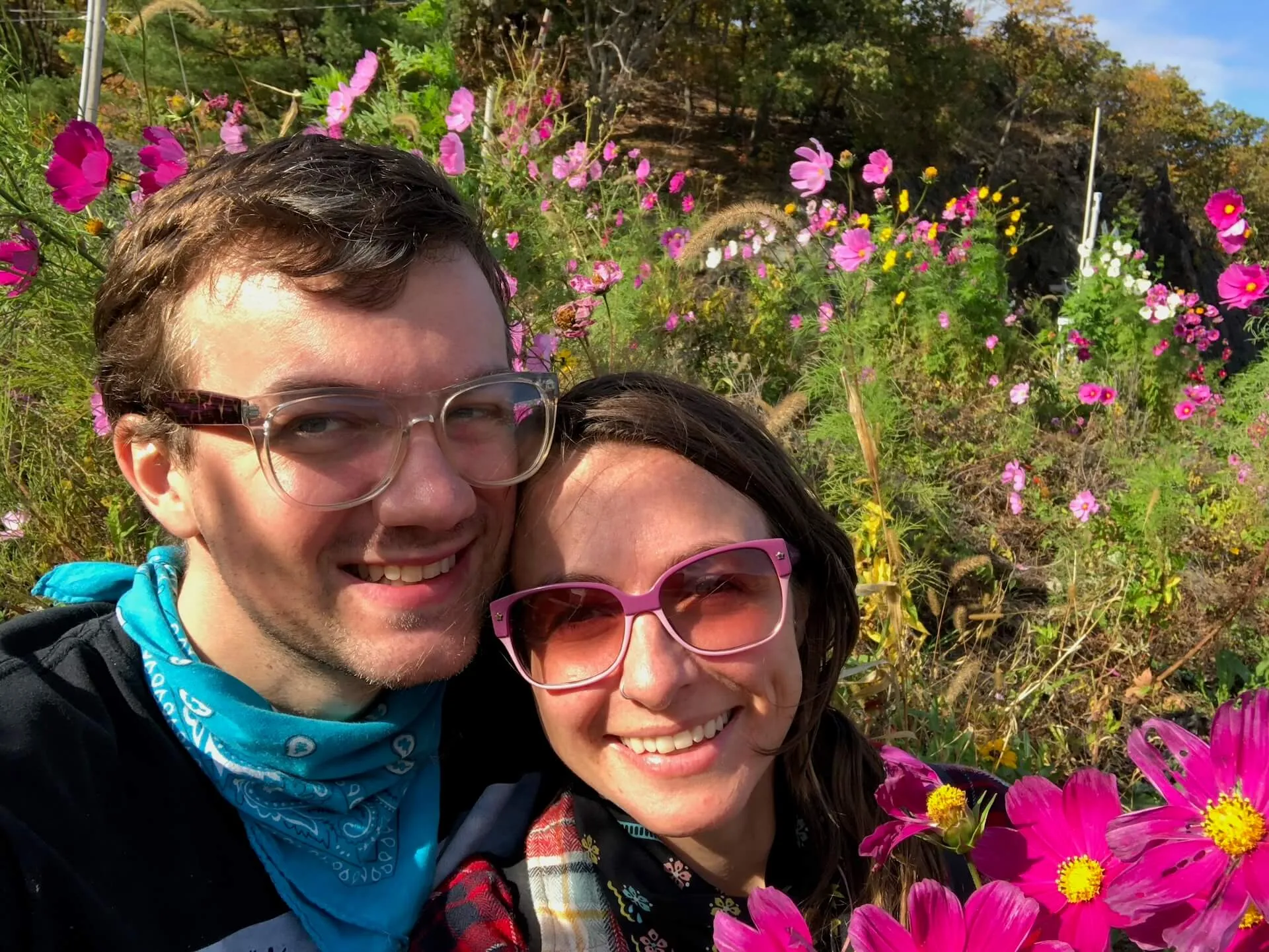 Among the wild flowers